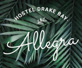 Allegra Hostel
