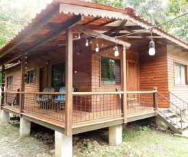 Casa Tulipan Jungle House