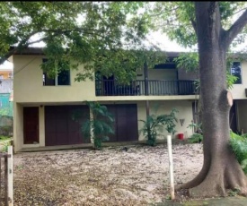 Alquiler de cuartos en TAMARINDO