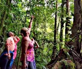 Cecropia Ecolodge