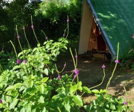 Chalets y Cabaña Silencio del Bosque