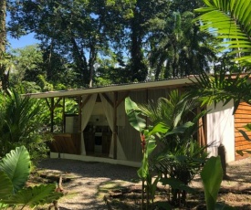 Chiquita houses