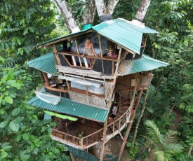 Corcovado Treehouse near Remote Beaches