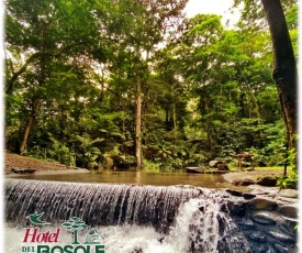 Eco-Hotel del Bosque