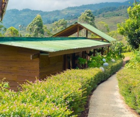 Ecolodge Rain