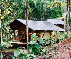 El Pulpo Safari Lodge