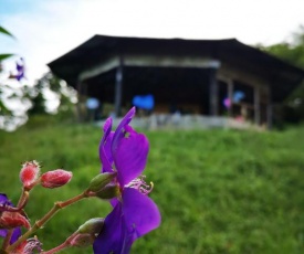 Esplendor Lookout and Campsite