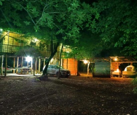 Finca Avellanas