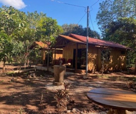 Finca Avellanas