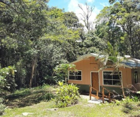 Forest Garden House