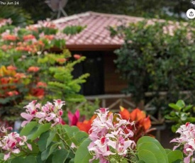 Forest-flame Cabin