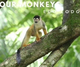 Four Monkeys Eco Lodge
