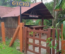 Gecko de Tortuguero