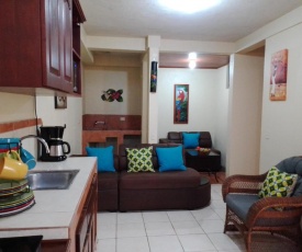 Apartamento downtow2