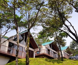 Green Forest Rustic Houses
