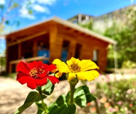 Hoja Azul