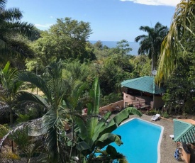 Hostel Plinio