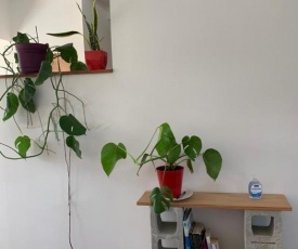 Apartamento Verde