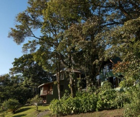 Hotel Flor de Bromelia