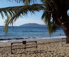 Hotel La Palapa