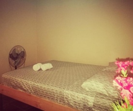 Apartamentos Morpho CR 2
