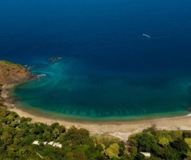 Kasiiya Papagayo