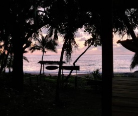 Life for Life Hostel Drake Bay Home of Sea Turtle Marine Conservation Project Osa Peninsula near San Josecito Beach