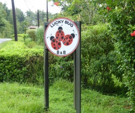 Lucky Bug Bed And Breakfast