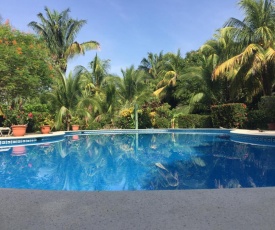 Mal Pais Surf Camp