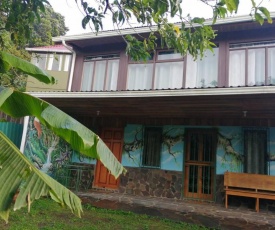 Ariana's House