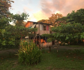 Miguel Surf Camp