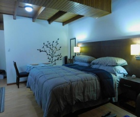 Modern Studio Loft Apt King Bed 10 min frm airport