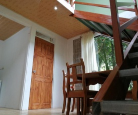 Monteverde Monte Green
