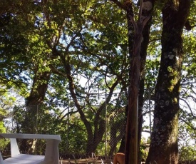 Nature house