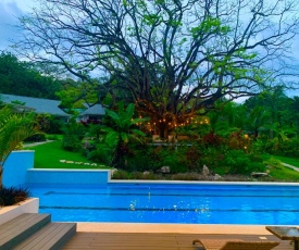 Aves Hotel Montezuma