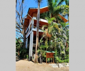 Nosara Tree House