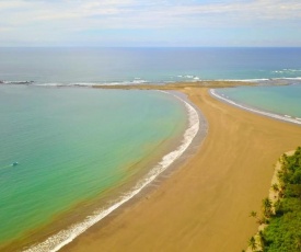 Osa de Rio