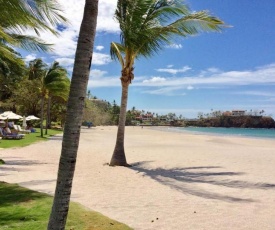 Palms 19