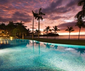 Palms 23