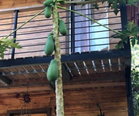 Papaya Wildlife Lodge