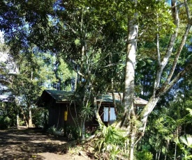 Pochotel