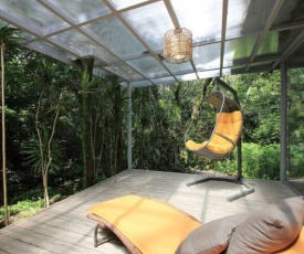 Relaxing Sound of the River, all the Birds, Squirrels and Many Tropical Plants