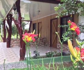 Rio Celeste Springs Blue Lodge