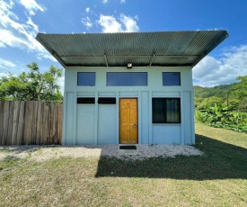 Riverland Turtle House