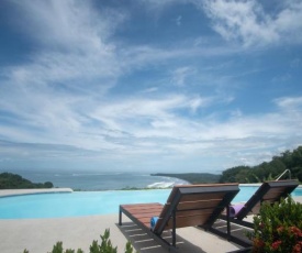 Ballena Paraiso