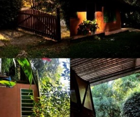 Bamboo House