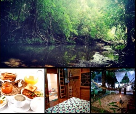 Terra Nostra Jungle House