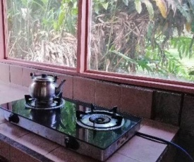 The congo house