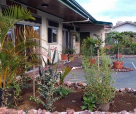 Top of the Mountain, new hotel Bnb in the clouds