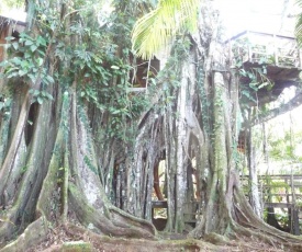 Topos Tree House